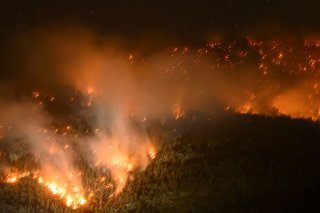 Le feu de forêt fait rage depuis lundi après-midi.